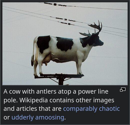 Photo showing a cow with antlers atop a power line pole. Wikipedia contains other images and articles that are comparably chaotic or udderly amoosing.